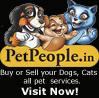 PetPeople.in - Exclusive News & Classified for Pet Dogs, Cats, Birds & Pet Services