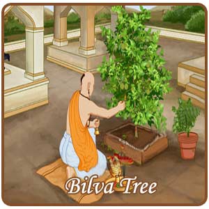 Bilva Tree Worship