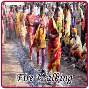 Fire Walking Festival