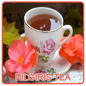 Nilgiris Tea
