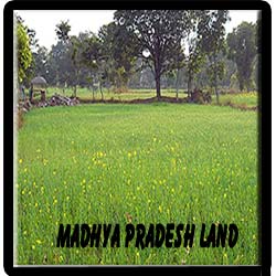 Madhya pradesh land