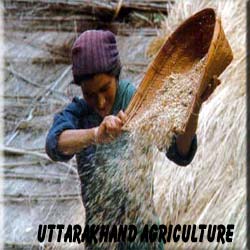 Uttarakhand Agriculture