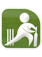 2011 - ICC Cricket World Cup