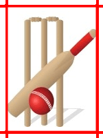 Cricket Stumps