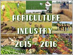 2015-2016 Indian Agriculture Industry