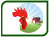 Indian poultry at A Glance in 2015 - 2016