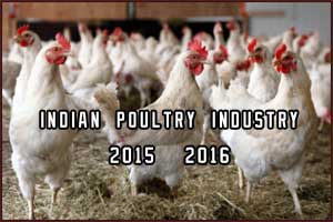 Indian Poultry Industry in 2015-2016