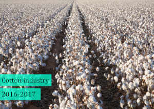 Indian Cotton in 2016-2017
