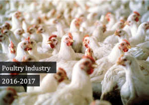 Indian Poultry Industry in 2016-2017