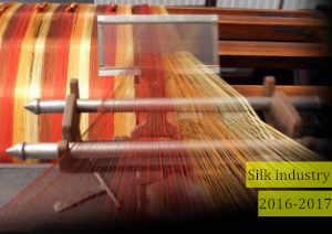 Indian silk in 2016-2017
