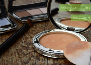 Indian Cosmetic Industry in 2017-2018