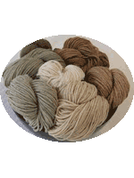 Indian Cotton Industry