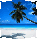 Indian Beaches