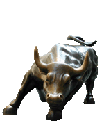 bull