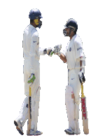 cricketplayer