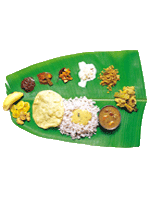 indian food