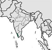 Malayalam Language