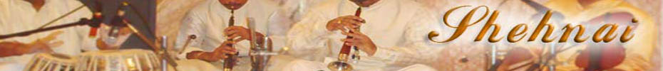 Shehnai - Indian Musical Instrument