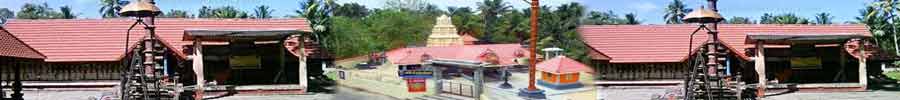 Sree Bhadrakali Devaswom Temple