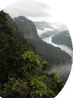 Agumbe - Barkana Falls