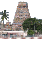 Chennai - Kapaleeshwar Temple