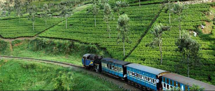 OOTY