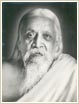 Aurobindo