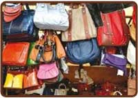 Handbag Shopping