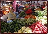 Vegetable Market Near Tibetan Market Udaipur