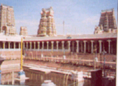 Meenakshi Temple- Madurai