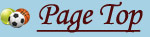 Page Top