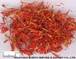 SAFFLOWER PARTS2 SAFFLOWER PARTS2