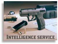  Intelligenceservice-Career