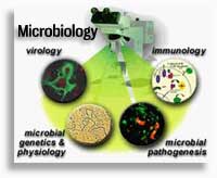 Microbiology