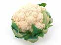 CAULIFLOWER