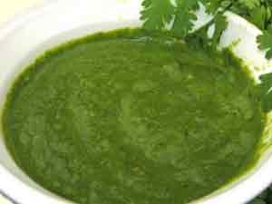 Cilantro Chutney 