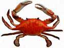 CRAB