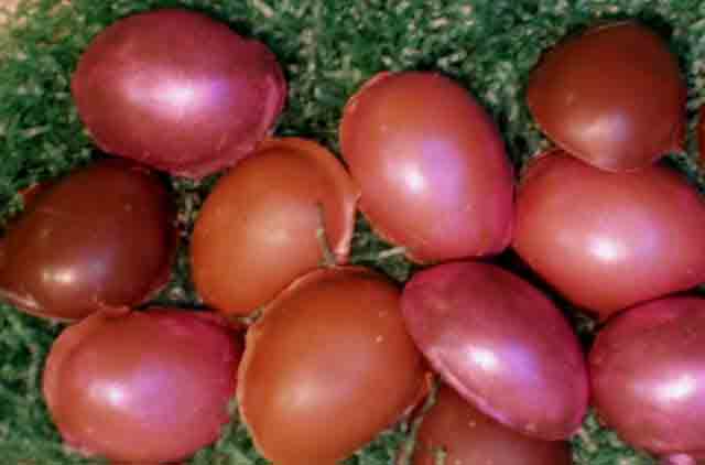 Chocolate Covered Marshmallow Eggs