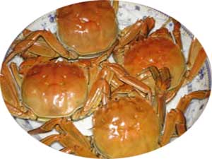 STEAMED CRAB