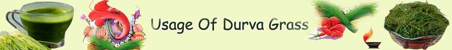 Folklore Of Using Durva Grass