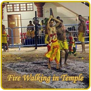 Fire Walking in Temple
