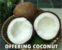 Offering Coconut