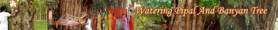 History Of Watering Pipal And Banyan Tree