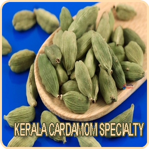 Kerala Cardamom Specialty