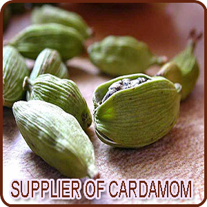 Supplier Of Cardamom