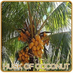 Husk Of Coconut