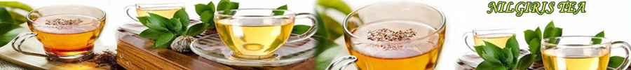 History Of Nilgiris Tea