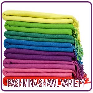 Pashmina Shawl Variety
