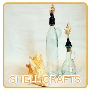 Shell Craft