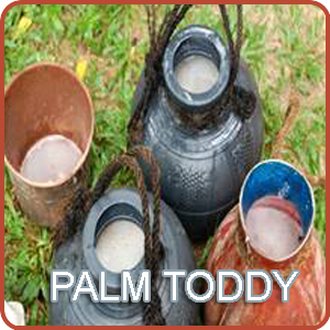 Palm Toddy